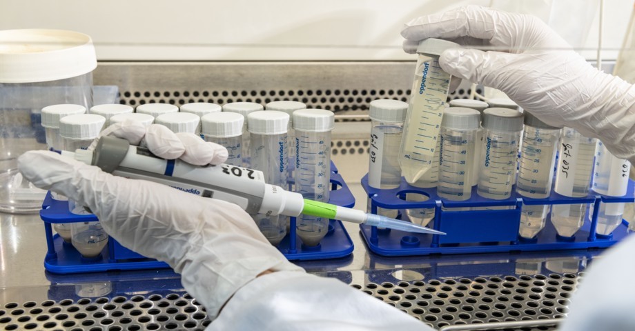 Angewandte Mikrobielle &Ouml;kologie